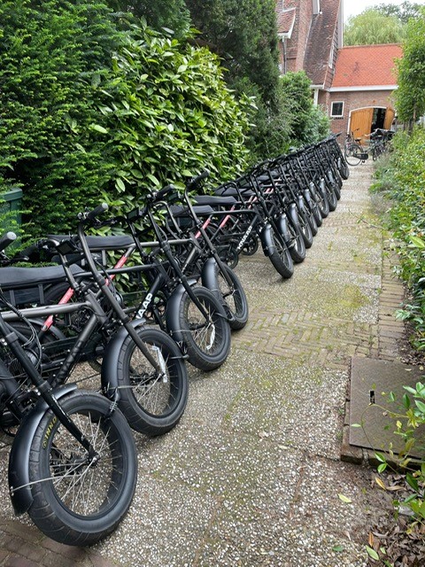 Row of black electric bikes lined up on a garden path next to a house.